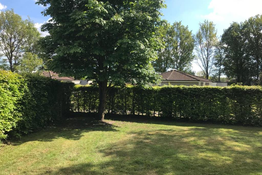 Rustig Gelegen Bungalow In Mooi Havelte Esterno foto