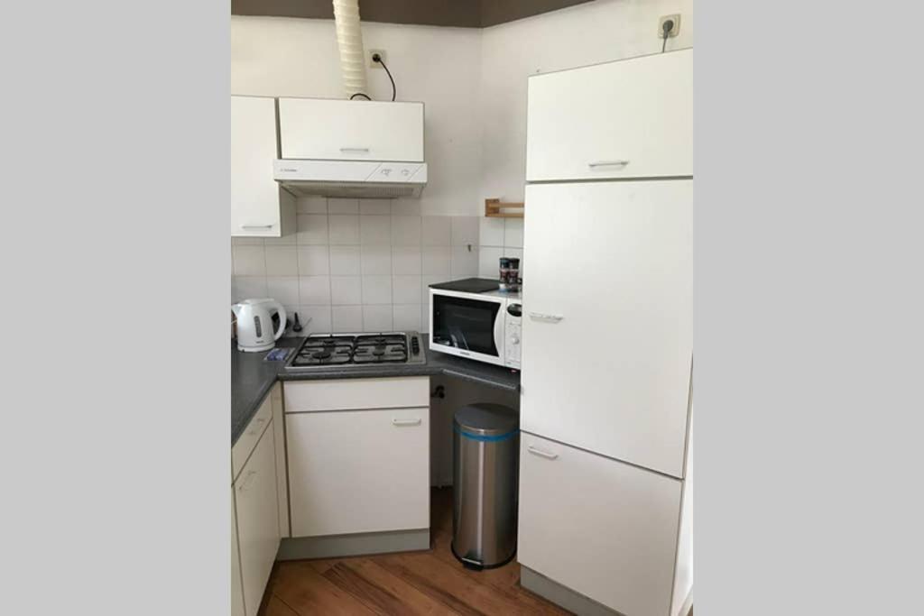 Rustig Gelegen Bungalow In Mooi Havelte Esterno foto